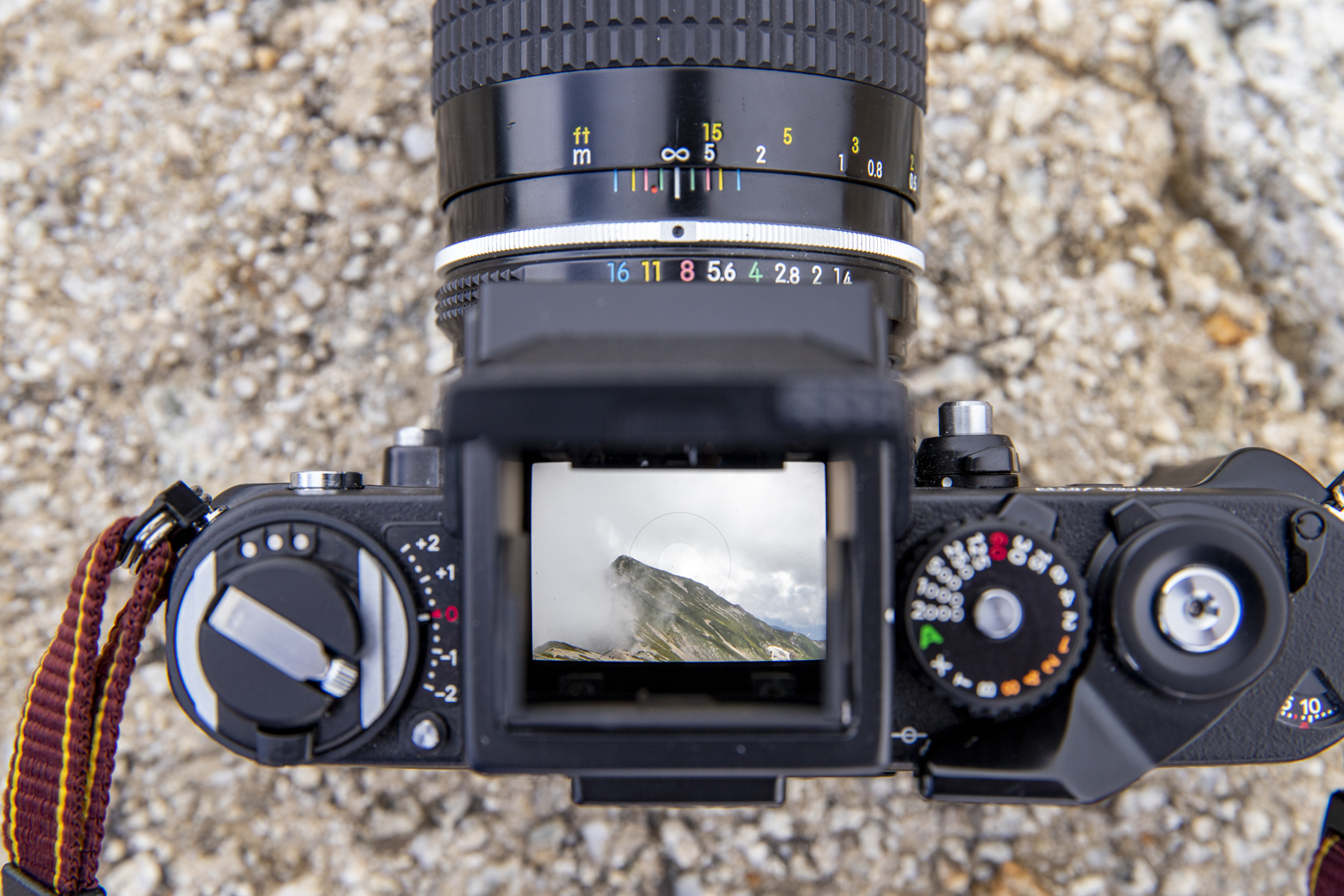 Nikon F3】所有欲を満たしてくれる最高級フィルムカメラ | Green 