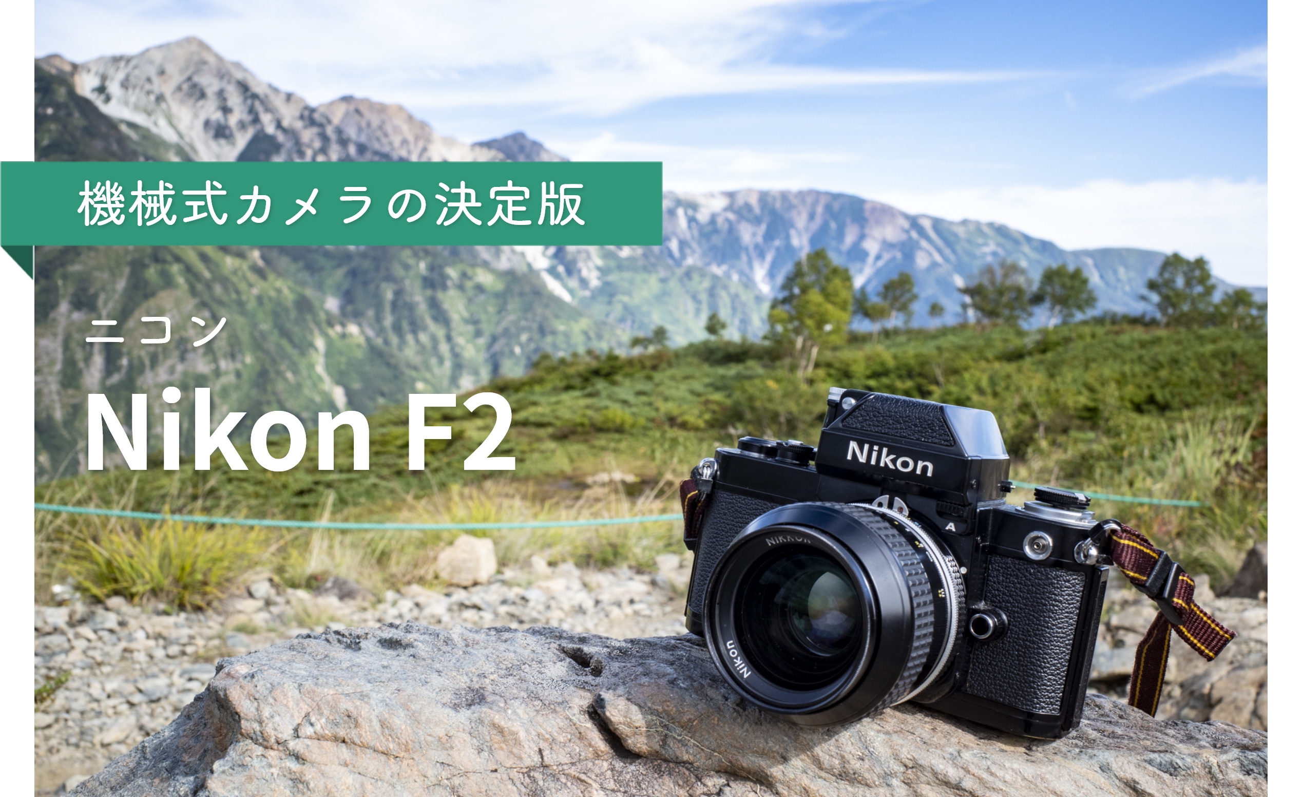 フィルムカメラ「Nikon F2 フォトミックA」の魅力とは | Green Nature