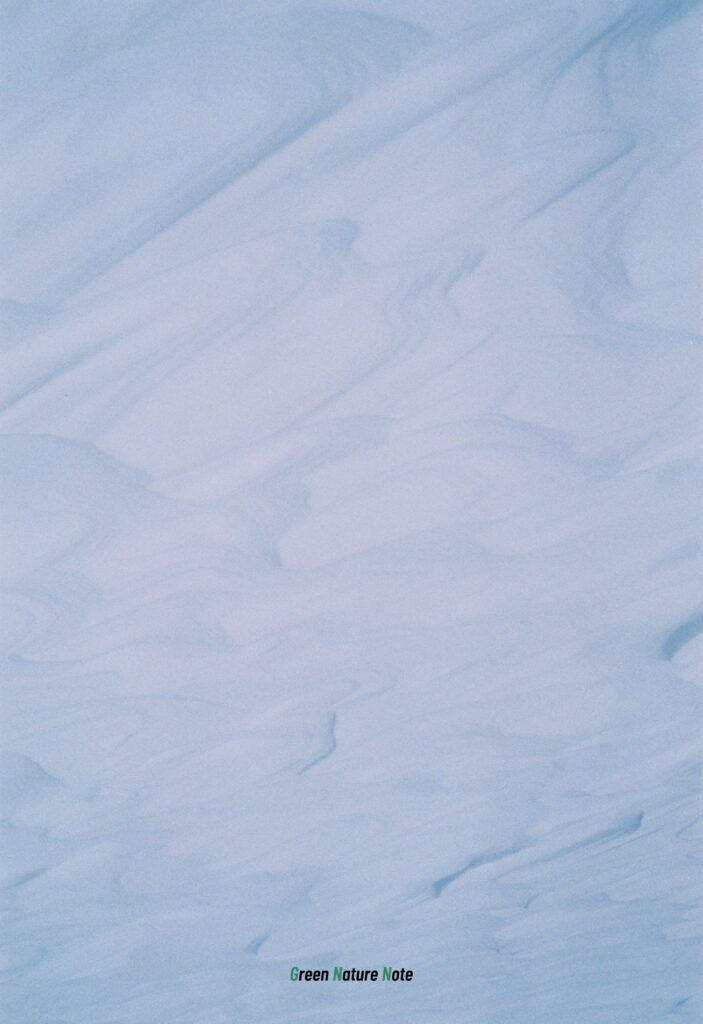 風によって作られた雪の模様