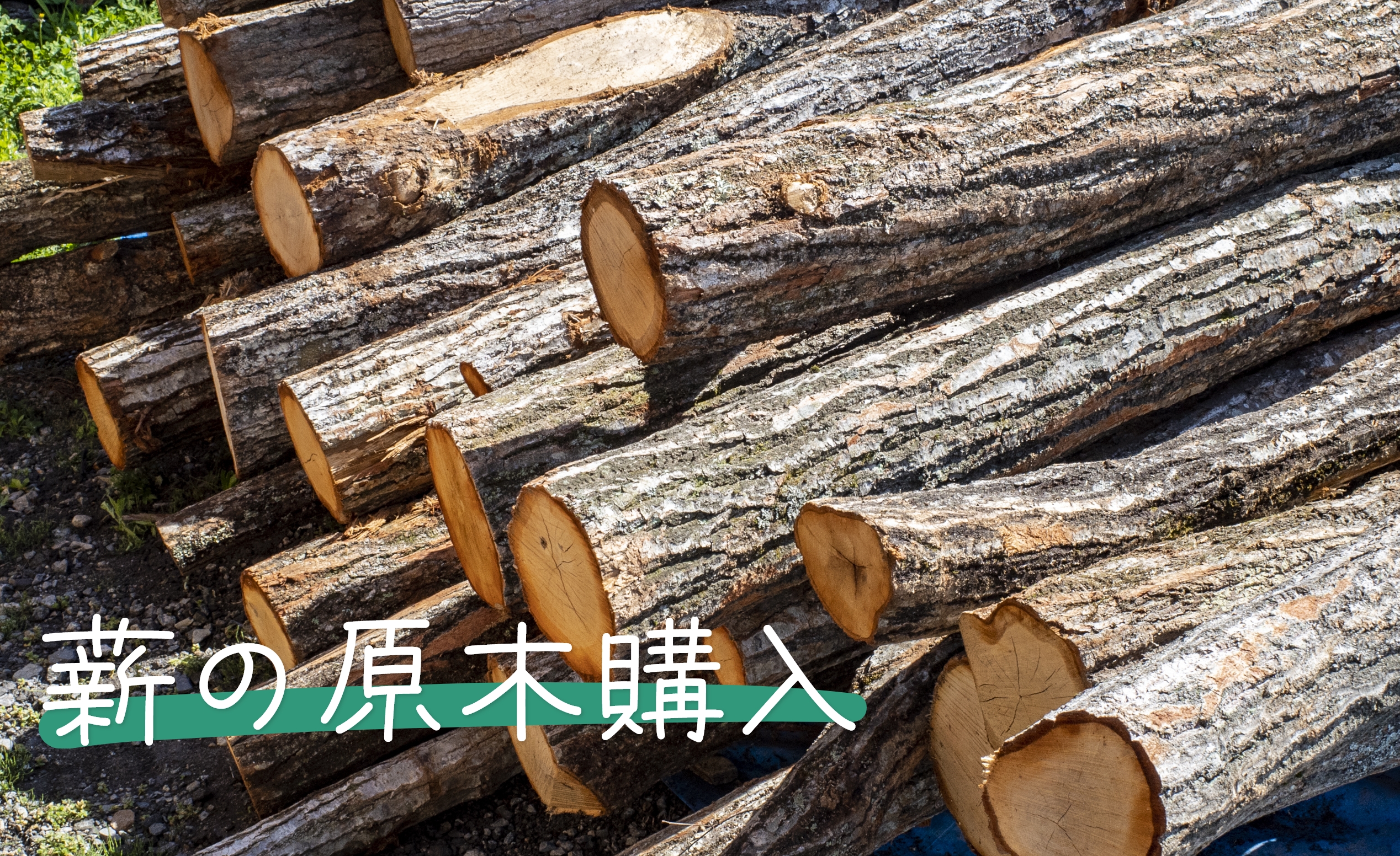 初めての薪作り Vol.1】長野県大町市の「北アルプス森林組合」で薪原木 