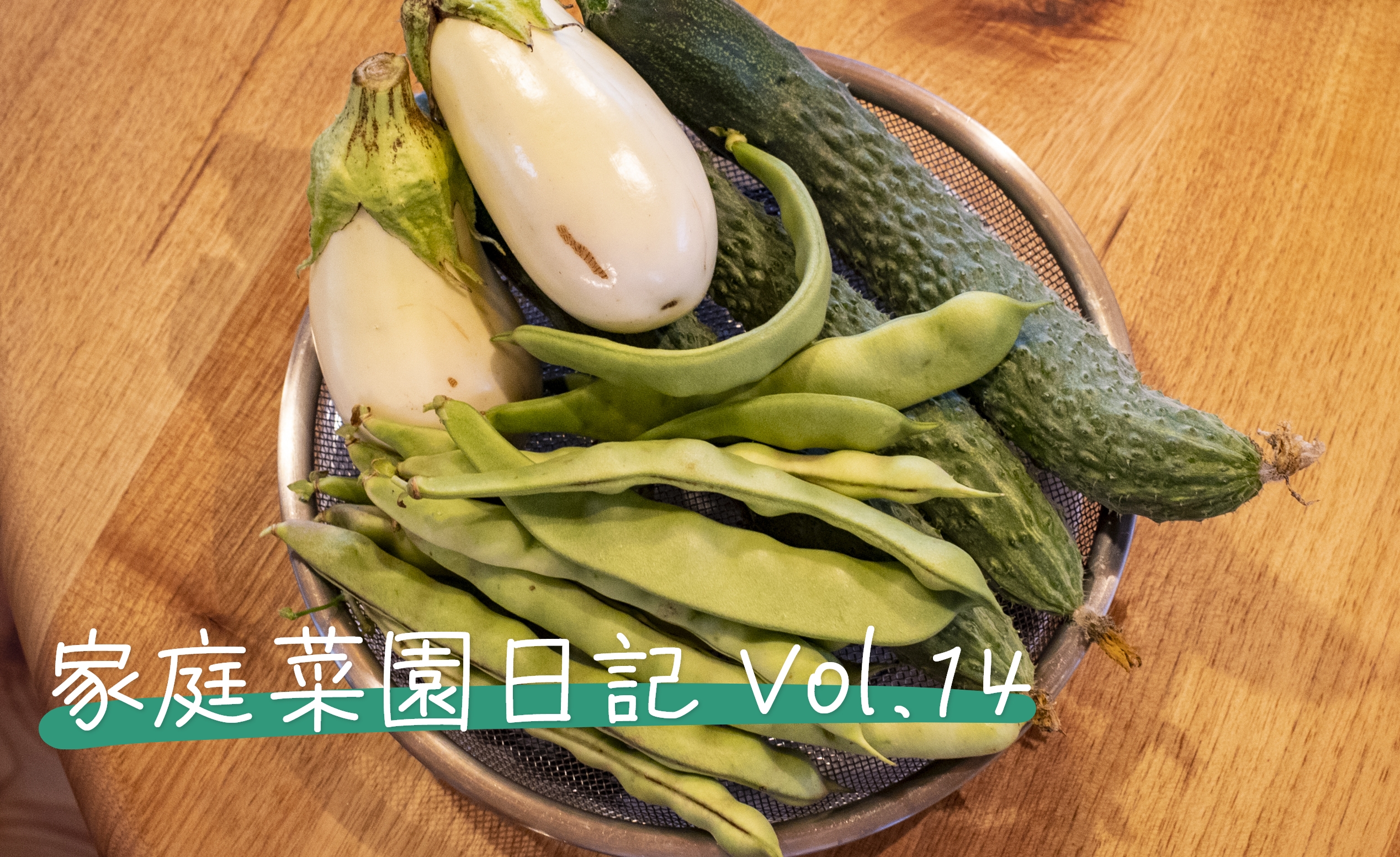 家庭菜園日記 Vol.14