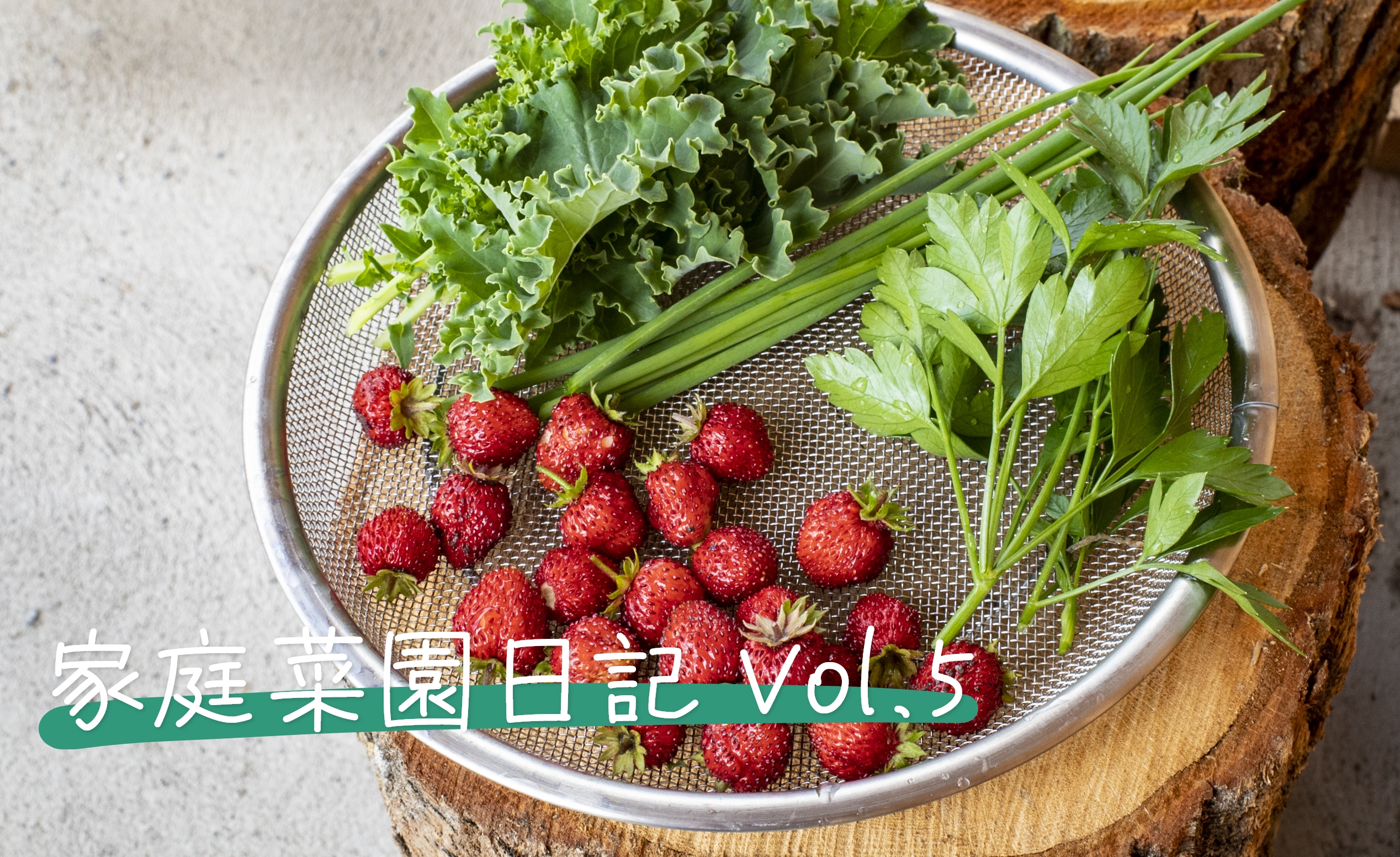 家庭菜園日記 Vol.5