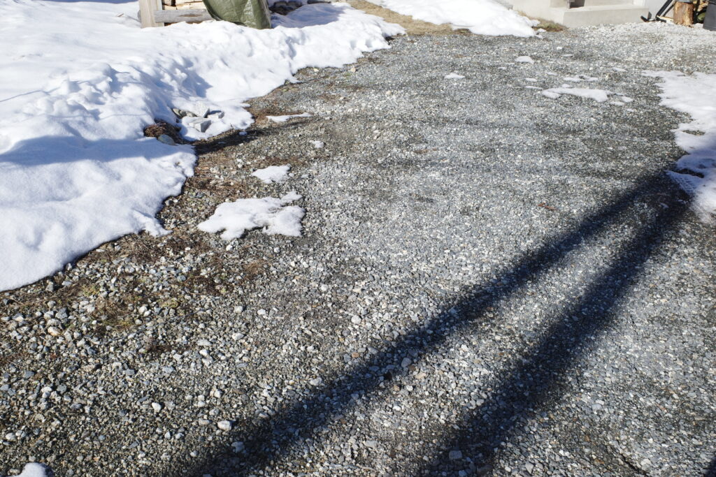 1月は駐車場の地面が見えるほど雪が降らなかった（1月19日）