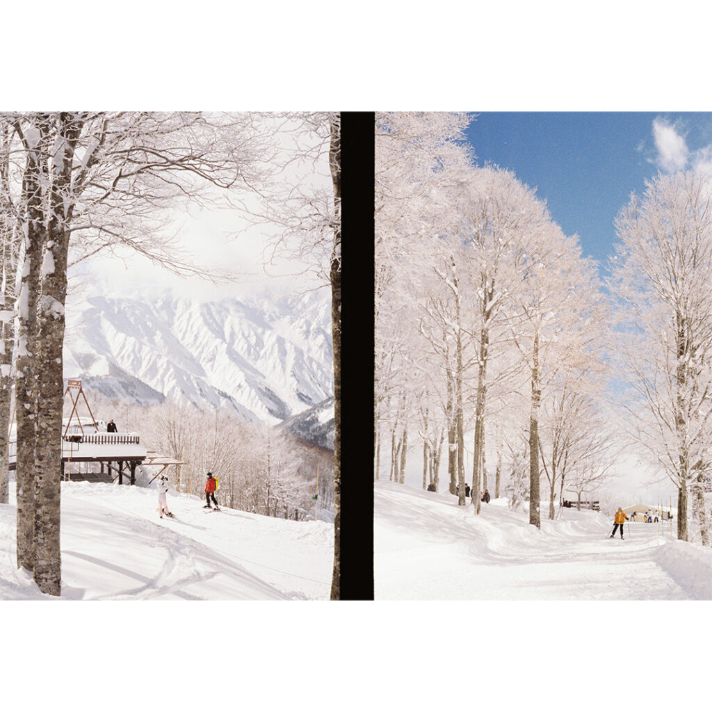 【作例・レビュー】Olympus Pen S_9