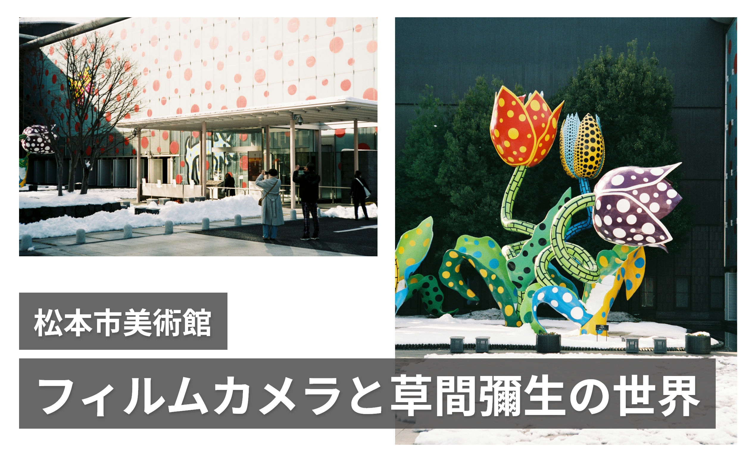 【ニコンS3】フィルムカメラを持って草間彌生ワールド全開の松本市美術館に行ってきた
