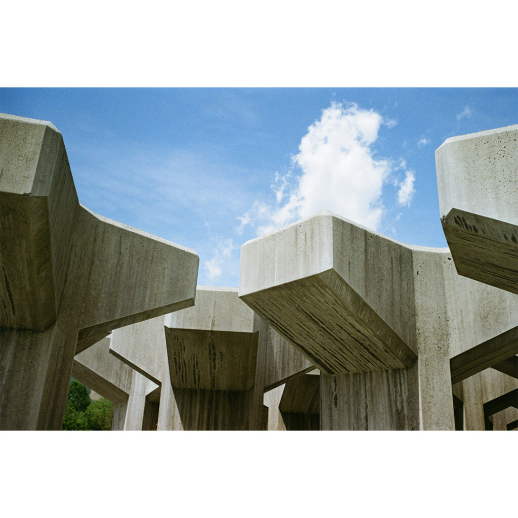 【作例あり】ズマロン 35mm f3.5 Mレビュー|ライカのオールド広角レンズで描く5月の白馬村