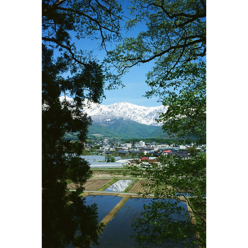 【作例あり】ズマロン 35mm f3.5 Mレビュー|ライカのオールド広角レンズで描く5月の白馬村
