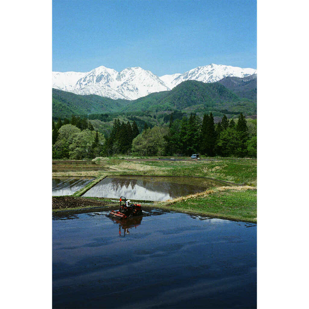 【作例あり】ズマロン 35mm f3.5 Mレビュー|ライカのオールド広角レンズで描く5月の白馬村