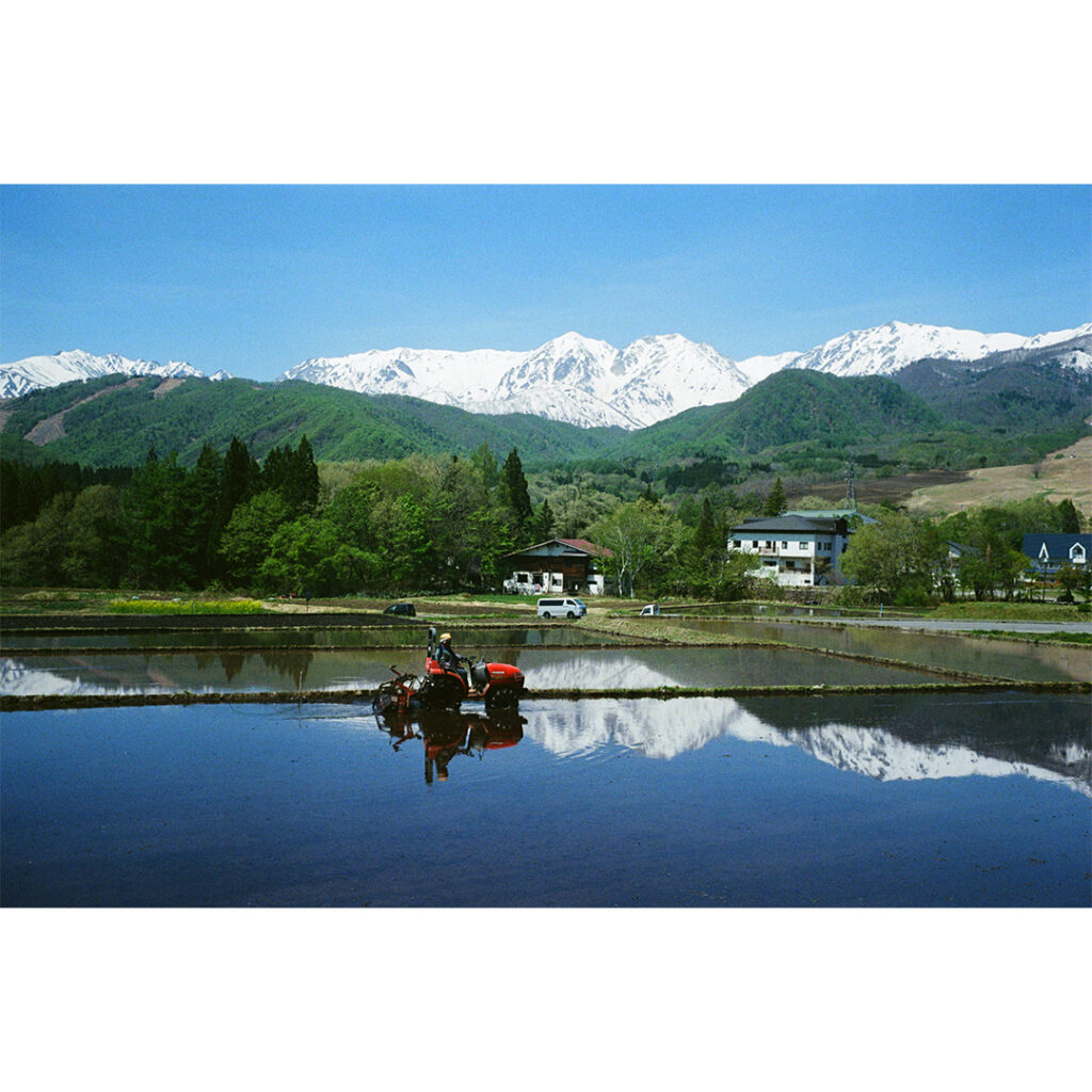 【作例あり】ズマロン 35mm f3.5 Mレビュー|ライカのオールド広角レンズで描く5月の白馬村