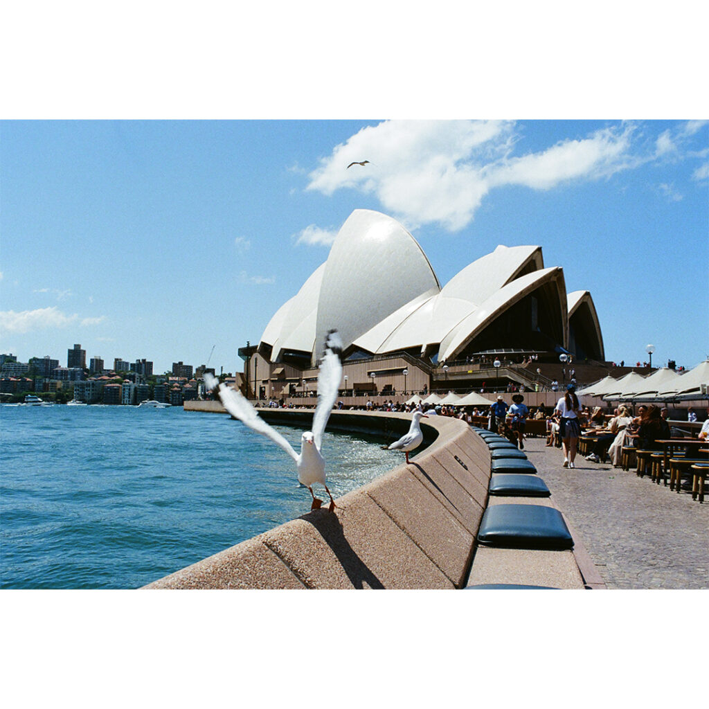 【シドニー旅】ニコン F2 フォトミック A 