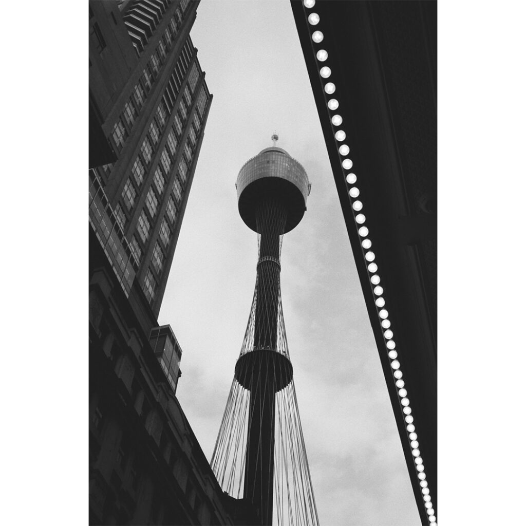 コンタックス TVS ＋ TRI-X