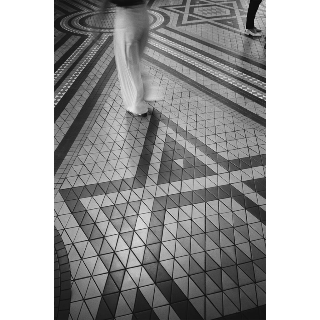 コンタックス TVS ＋ TRI-X