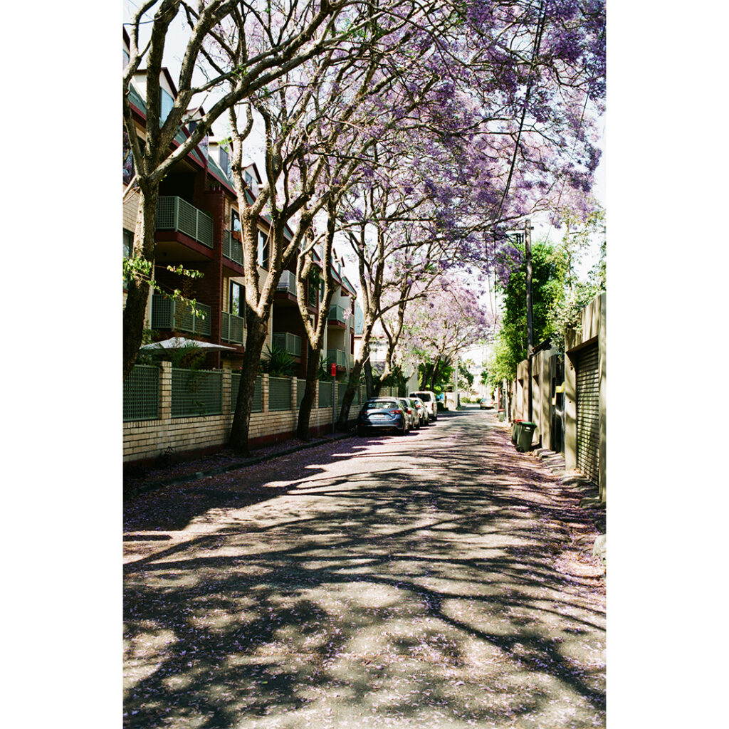 【シドニー旅】ニコン F2 フォトミック A 