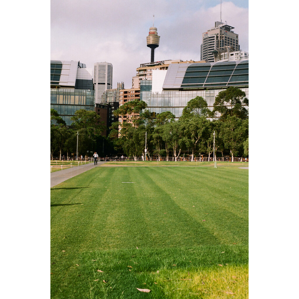 サリーヒルズ（ニコン F2 フォトミック A ＋ New Nikkor 35mm f2）