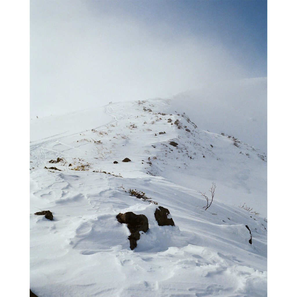 【Rollei35】Rollei35をポケットに入れておくと、写したい景色がたくさんみつかる。